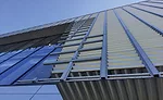 The Center for Coastal and Deltaic Solutions