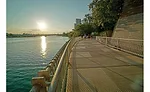 Trail Bridge at Congress Avenue