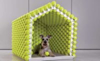 2019 Bark + Build pet house design/build competition