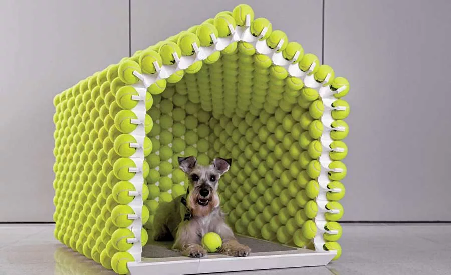 2019 Bark + Build pet house design/build competition