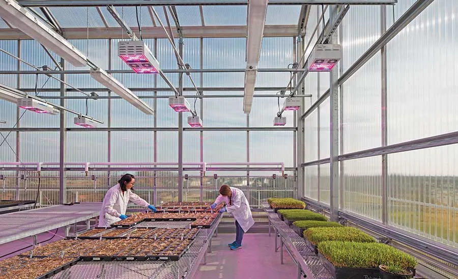 Texas A&M Dallas AgriLife Center