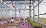 Texas A&M Dallas AgriLife Center