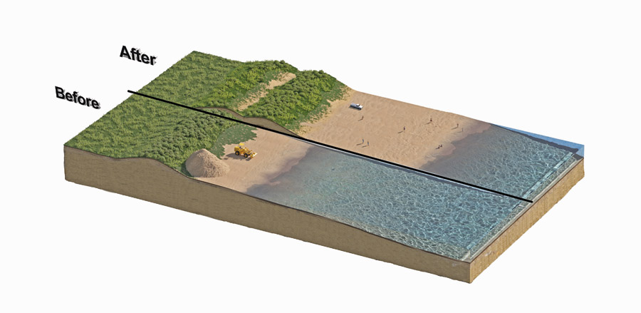 beach dunes could be restored