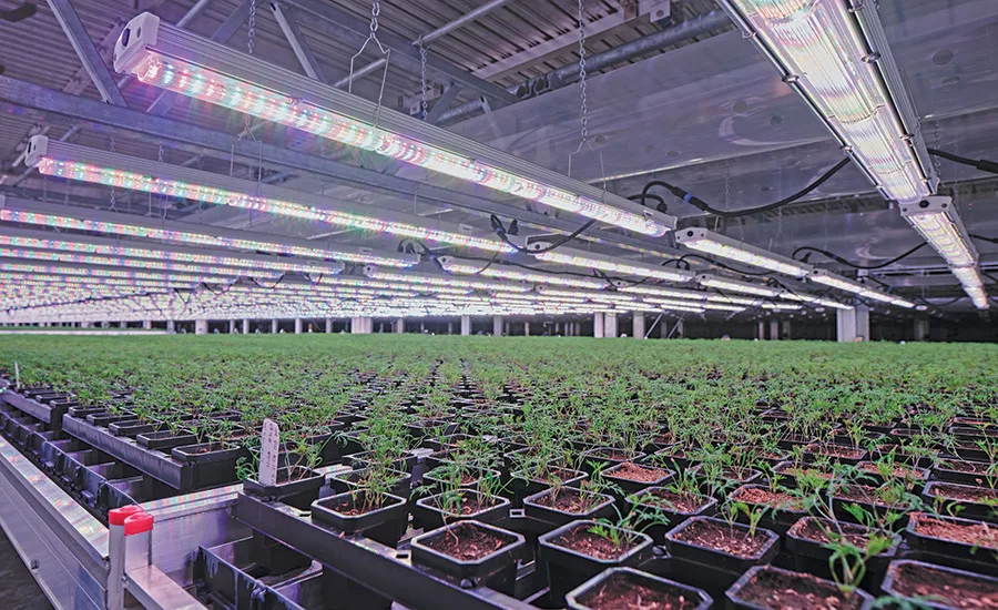 soli organic controlled environment agriculture building