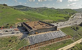 The Wallis Annenberg Wildlife Crossing
