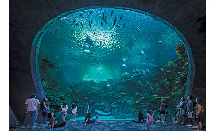 The Seattle Aquarium Ocean Pavilion