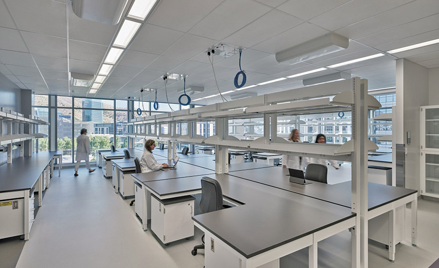 Genentech B86