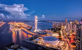 Miami New Roundup