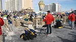 Bricklayer3