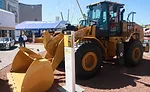 cat1