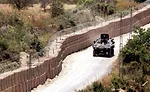 turkey45