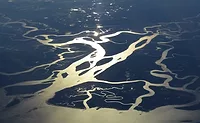 swamp.jpg