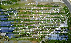 Solar farm