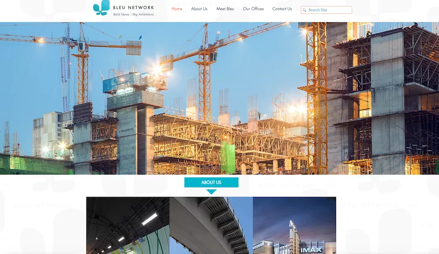 bleu_network_website.png