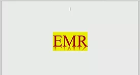 EMR_big.png
