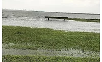 Texasflooding