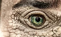 Reptile legal theory Design professional lawsuits