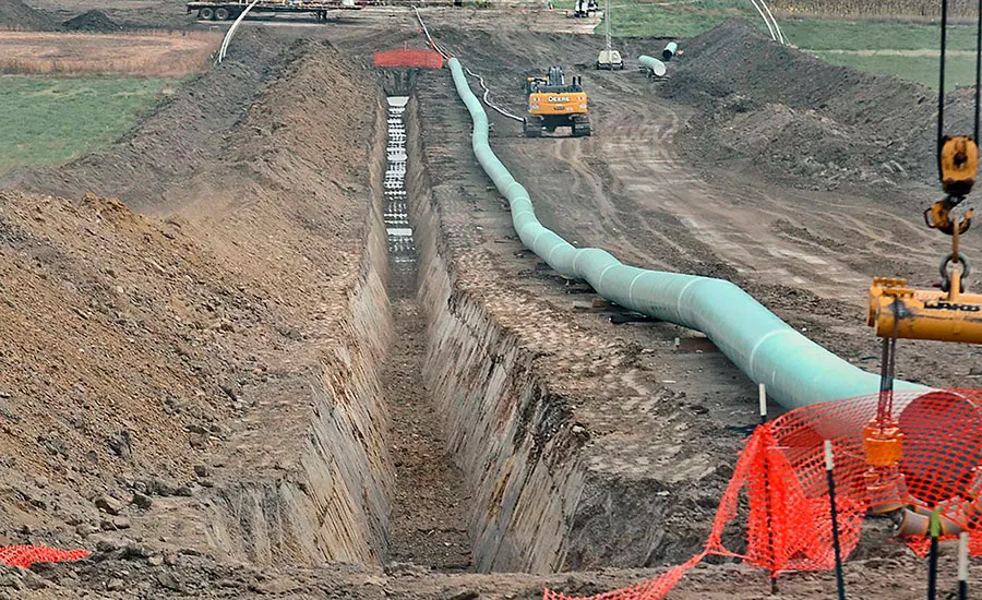 DAPl.jpg