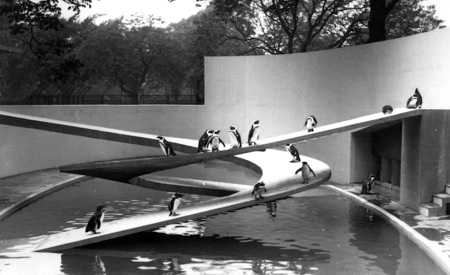 Penguin Pool