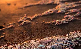 bubbles_on_beach.jpg