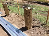 Treated Wood