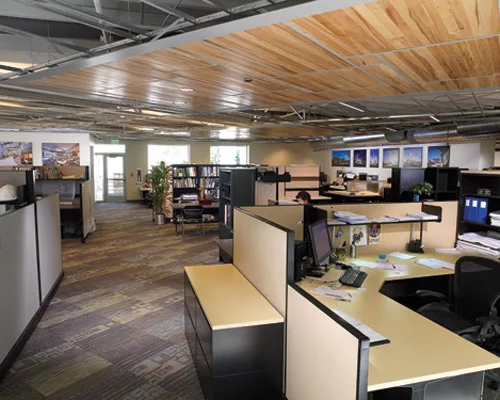 Founders Profile: Architectural Nexus
