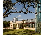 Greening Texas Schools