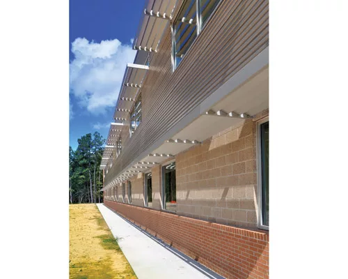 Greening Texas Schools