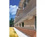 Greening Texas Schools