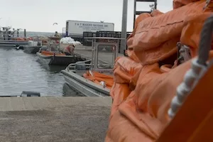 Ship and Oil Barge Collide in Houston Ship Channel, Spilling 168,000 Gal of Oil Into Texas Waters