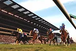 World Record Sports Facilities