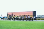 World Record Sports Facilities