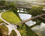 Landscape Architects Invade Big Cities