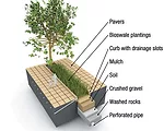 Landscape Architects Invade Big Cities