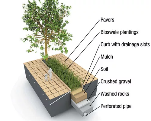 Landscape Architects Invade Big Cities