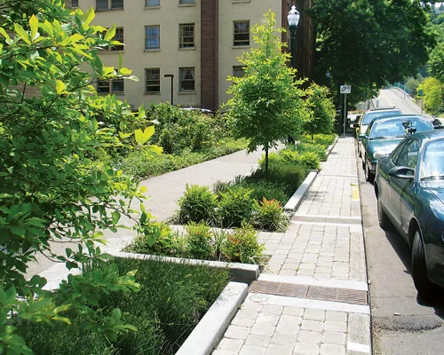 Landscape Architects Invade Big Cities