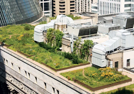Landscape Architects Invade Big Cities