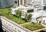 Landscape Architects Invade Big Cities