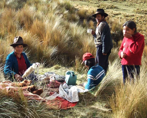 Construction Methods of the Ancient Inca Offer Sustainable Lessons