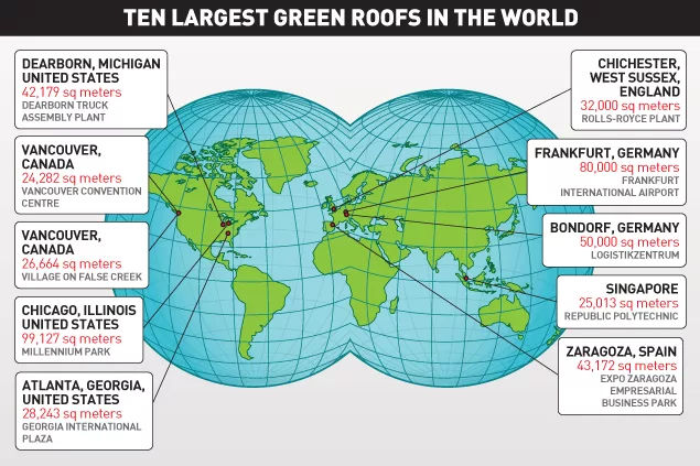 Green Roofs Take Root in India