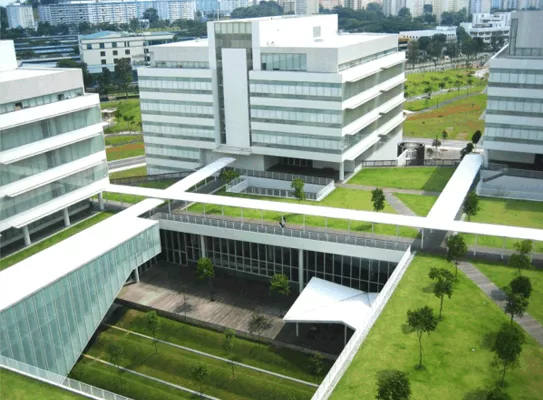 Green Roofs Take Root in India