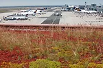 Green Roofs Take Root in India