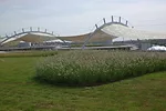 Green Roofs Take Root in India