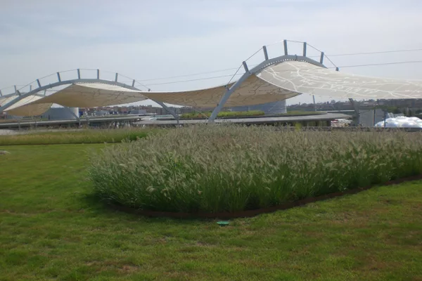 Green Roofs Take Root in India