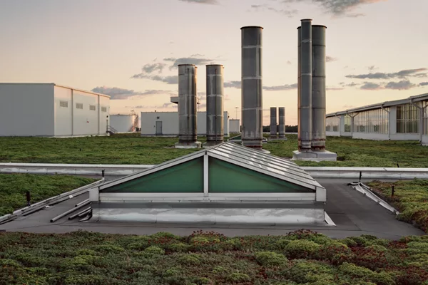 Green Roofs Take Root in India