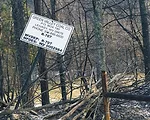 A Bold Individual Surety Claims His Coal-Backed Bonds are Rock Solid