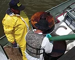 Gulf Coast Cleanup Employs Multiple Tools and Techniques
