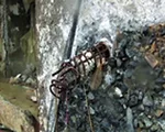 Corps Pulls Out All the Stops To Cope With Rising River