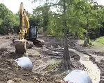 The Nature Conservancy: Finding a Sustainable Bottom Line in Nature