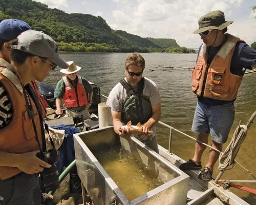 The Nature Conservancy: Finding a Sustainable Bottom Line in Nature